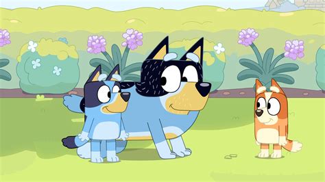 the bluey phenomenon bandit heeler voice actor reveals all about