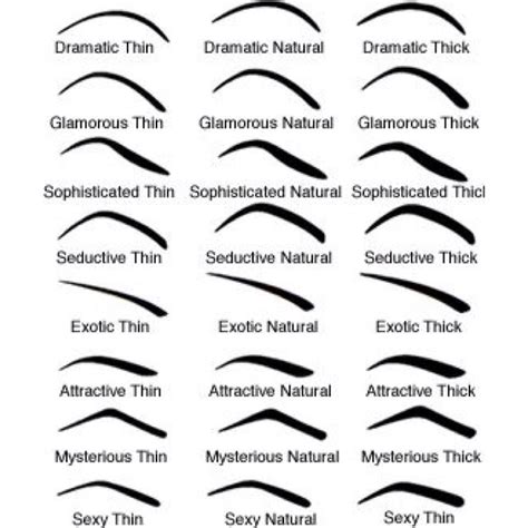 just so ya know eyebrow types musely