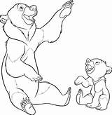 Oso Hermano Disneydibujos sketch template