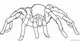 Coloring4free Spider Coloring Pages Tarantula Related Posts sketch template