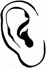 Ear Coloring Pages Color sketch template