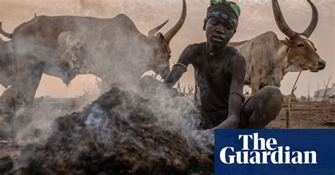 south sudan s dinka people in pictures world news