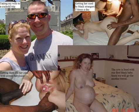 breeding sow 37 in gallery white wives seeding 18 picture 3 uploaded by alan663 on