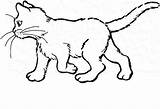 Colouring Kitty Coloringhome sketch template