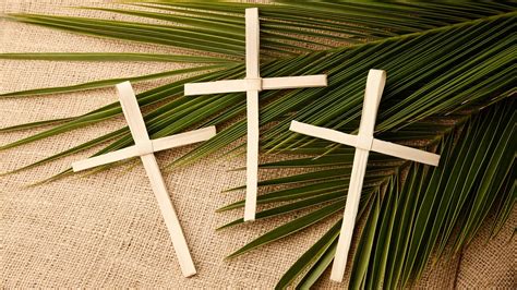 palm sunday start  holy week  christians entrance  jesus