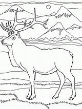 Coloring Elk Rocky Mountain Pages Mountains Drawing Pencil Drawings Color Popular Deer Getdrawings sketch template