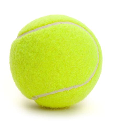 tenisball tennis ball png  image png arts discover  tenisball design  dribbble