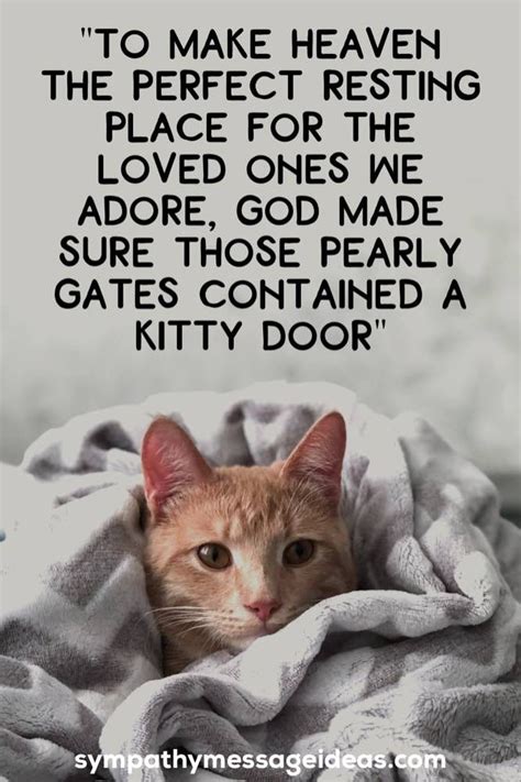 Pin On Cat Loss Quotes
