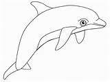 Coloring Pages Dolphins Realistic Dolphin Kids sketch template