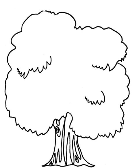 mango tree coloring coloring pages