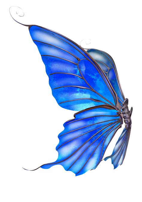 fairy wings butterfly drawing side view julyislost