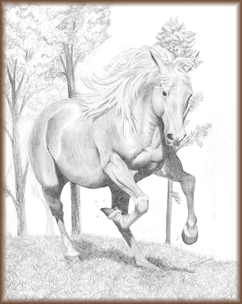 photo wild horsesmustangs galloping images drawing horse horses