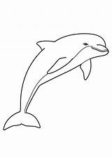 Delfini Colorare Disegni Animali Pianetabambini Delfino Bambini Disegnare Tatuaggi Altri Adulti Scegli sketch template