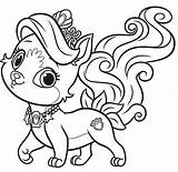 Pets Malvorlage Haustiere Prinzessinnen sketch template