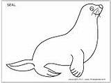 Seal Coloring Craft Templates Preschool Printable Animal Outline Animals Crafts Arctic Pages Seals Print Printables Template Artic Baby Stencils Polar sketch template
