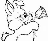 Kaninchen Kostenlos Ausmalbild Malvorlagen Du sketch template