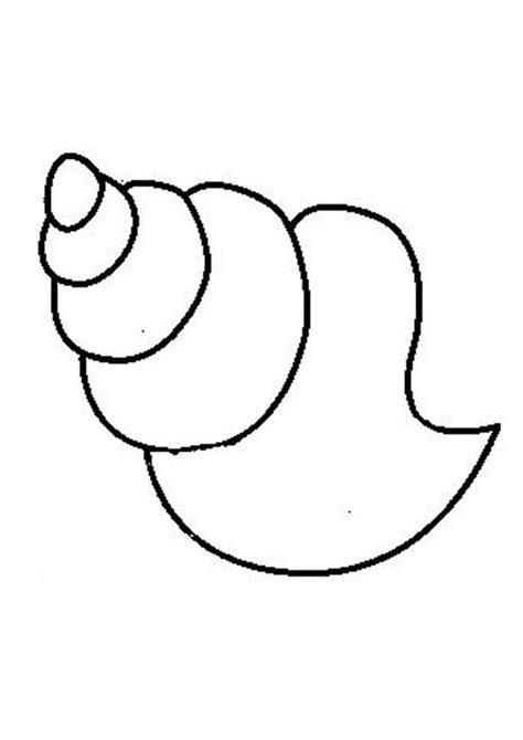beach shells coloring pages coloring home