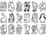 Coloring Printable Wild Animals Pages Color Print Cute Getcolorings sketch template