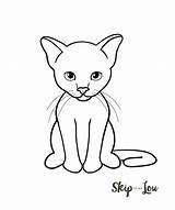 Cat Draw Drawing Simple Easy Drawings Step Choose Board Coloring sketch template