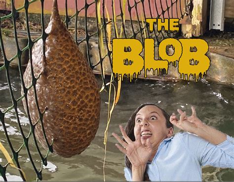 beware   blob