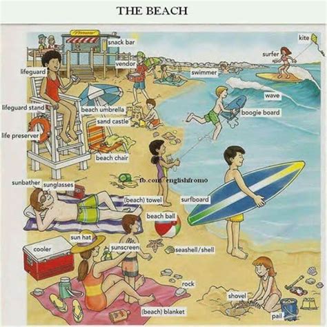 the beach vocabulary visual expression english learn site