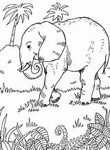 Savana Africana Elefante Colorir Imprimir Tudodesenhos Elephant Embroidery Elephants sketch template