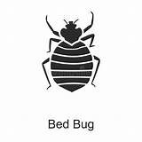 Icona Vettore Bedbug Isolata Cimice Sfondo Bianco Isolato Pest Symbol sketch template
