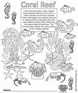Reef Barrier Enchantedlearning Biomes Coralreef Coverpage Reefs Printouts Designlooter sketch template