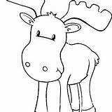 Moose Coloring Outline Baby sketch template