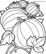 Coloring Pages Color Printable Vegetables Vegetable Pumpkins Food Sheets Kids Nature Sheet Pumpkin Fall Verduras October Patch Fruits Legumes Drawing sketch template