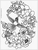 Coloring Pages Hummingbird Adults Flower Tattoo Adult Flowers Printable Metacharis Deviantart Advanced Hummingbirds Drawing Bird Print Color Birds Humming Mandala sketch template