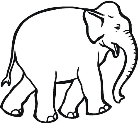 printable elephant coloring pages printable world holiday