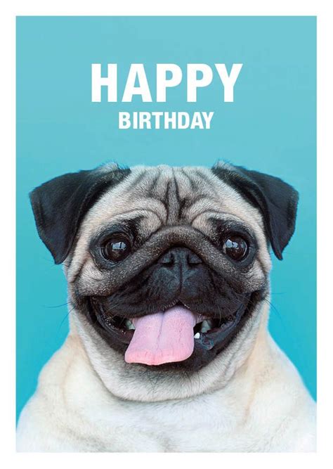 happy birthday pug greeting card   etsycomshop
