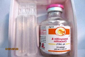 cloxacillin mg cloxacillin dosage forms luckyfeatherscom