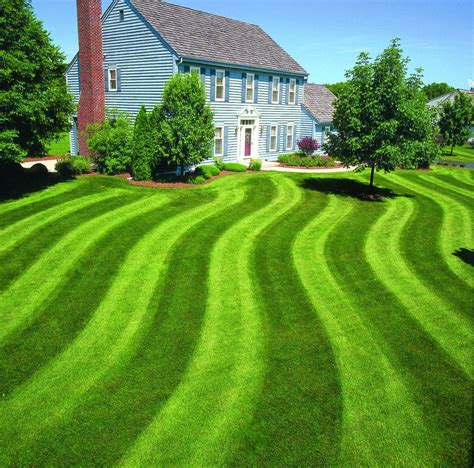 lawn striping   mow ballpark grass patterns simplicity modern