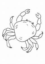 Crab Pages Coloring Sea Animal Color Printable Hellokids Print Beach Kids Online Colouring Kawaii Crafts Drawing Sheets Template Drawings Shells sketch template
