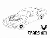Trans Coloring Am Firebird Pages Template sketch template