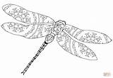 Dragonfly Dragon Intricate Fly Dragonflies Supercoloring Zentangle sketch template