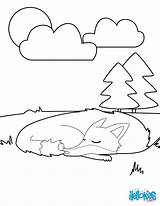 Fox Sleeping Coloring Pages Animals Color Print Forest Raccoon sketch template