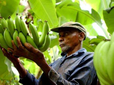 coop culemborg focust meer op fair trade