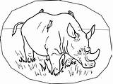 Coloring Pages Rhino Rhinoceros Printable Animals Kids Rhinos Endangered Color Rainforest Colouring Print Preschool Animal Fun Species Child Baby Stuff sketch template