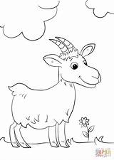 Goat Cartoon Coloring Pages Cute Baby Drawing Goats Printable Template Animals Getdrawings sketch template