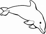 Dolfijn Blije Dolphin Categorieën sketch template