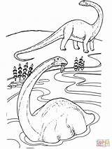 Coloring Apatosaurus Pages Drawing Printable sketch template