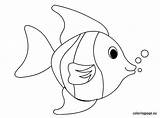 Fish Quilted Saltwater Animal Quilting sketch template