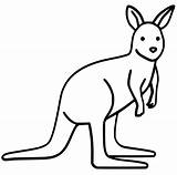 Wallaby Canguro Canguru Colorare Kangaroo Australian Kids sketch template