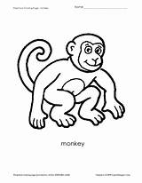 Monkey Coloring Sheet Worksheet Preschool Pre Lesson Curated Reviewed sketch template