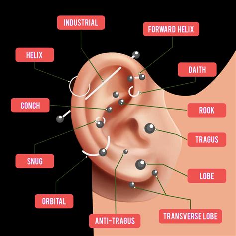 Ear Piercing Chart Ear Piercing Diagram Ear Piercings