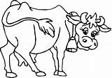 Vaca Bonita Colorir Tudodesenhos sketch template