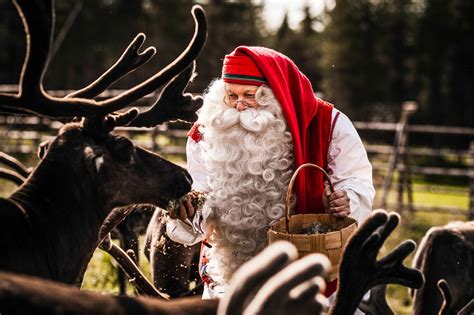 Santa Claus Feeding Reindeer Visit Rovaniemi Lapland Finland Lapland